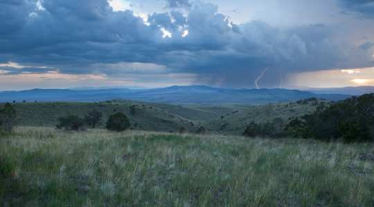 Rolling grasslands in the Continental Divide wilderness study area of New Mexico. Image: Bureau of Land Management via Flickr