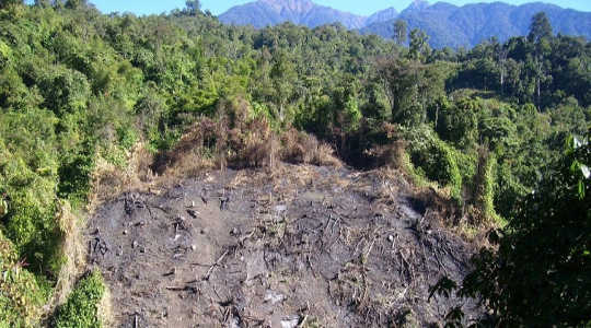 Hillside stripped of trees by slash-and-burn agriculture in Arunachal Pradesh, northeast India. Image: Prashanth NS via Flickr
