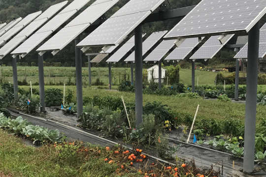 Agrivoltaics: Solar Panels on Farms Could Be a Win-Win