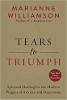 Tears to Triumph: Spiritual Healing for the Modern Plagues of Anxiety and Depression by Marianne Williamson