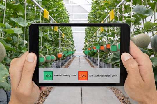 How Technology Is Transforming Farming