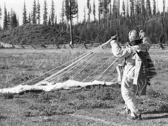 A smokejumper gathers his parachute after landing in Seeley Lake, Montana, around 1940.