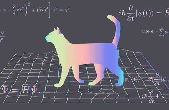 Could Schrödinger's Cat Exist In Real Life?