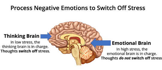 Thought vs. emotion in the brain. (how to outsmart your covid 19 fears and boost your mood in 2021)