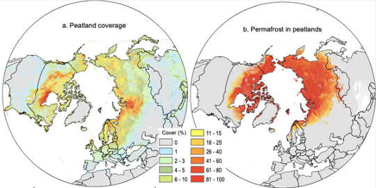 Maps showing the location of northern peatlands and permafrost.