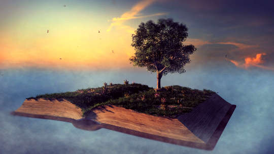Image of an open book floating in the sky with a tree growing out of the open book