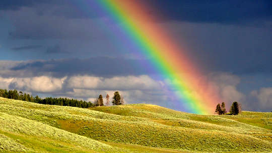 rainbow over a field