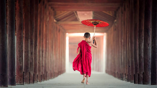 young buddhist monk holding an umbrella