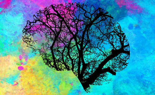 tree silhouette in the form of a brain