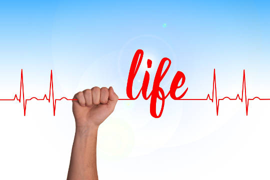 a hand holding a heartbeat line with the word Life