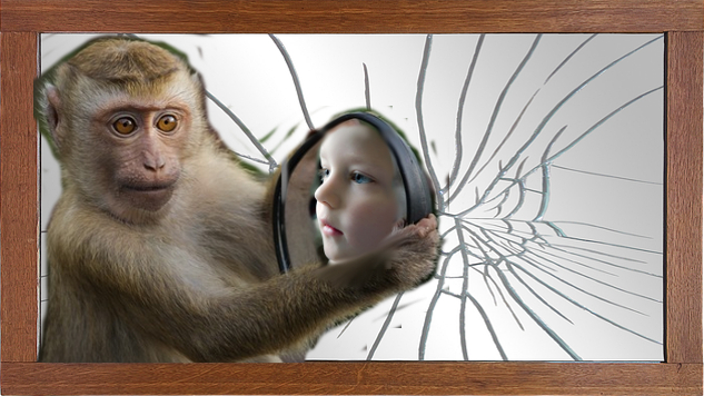 monkey holding a mirror reflecting a child