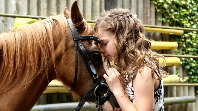 a young girl leaning her face on a horse's forehead