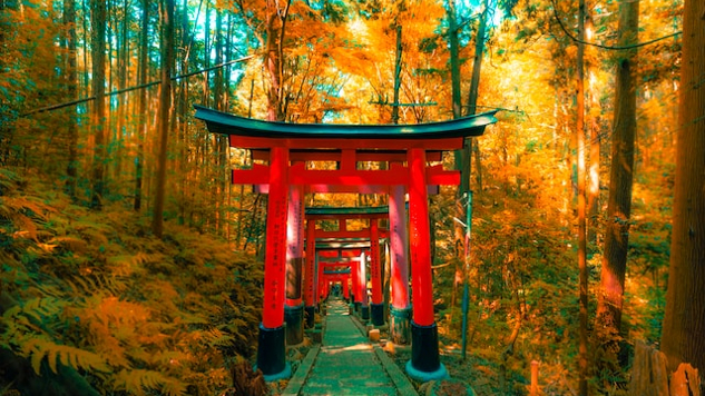 Shinto Gate during daytime