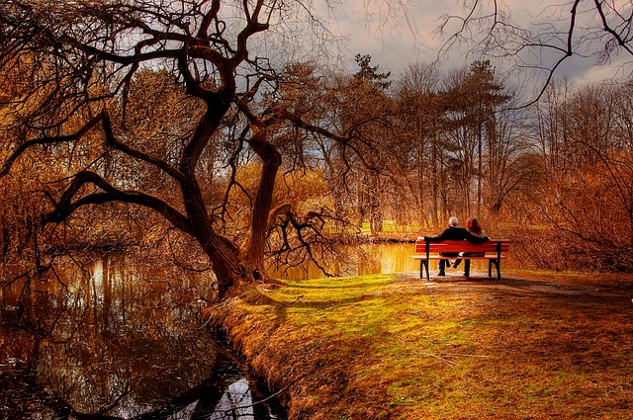 a couple sitting on a bench surrounded by trees and nature