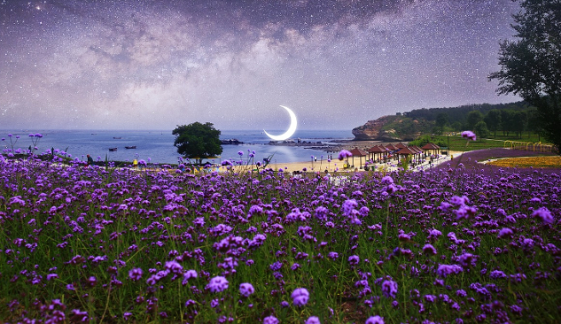beautiful setting with wild flowers, and a moon hanging over the water