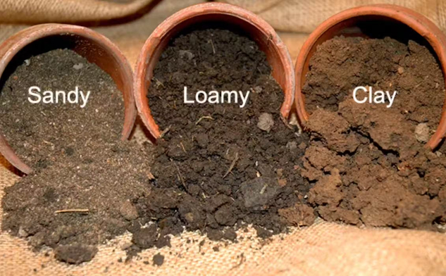 Three tipped over pots spill different types of soil – sandy is heavier grain, clay is finer grain and thicker, and loamy is darker.