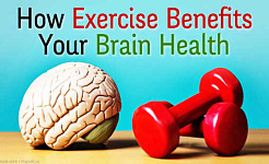 Your Brain Benefits From Exercise In These 3 Ways