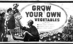 Is It Time To Resurrect the WWII 'Grow Your Own' Campaign?