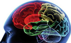 Is Addiction A Brain Disease?