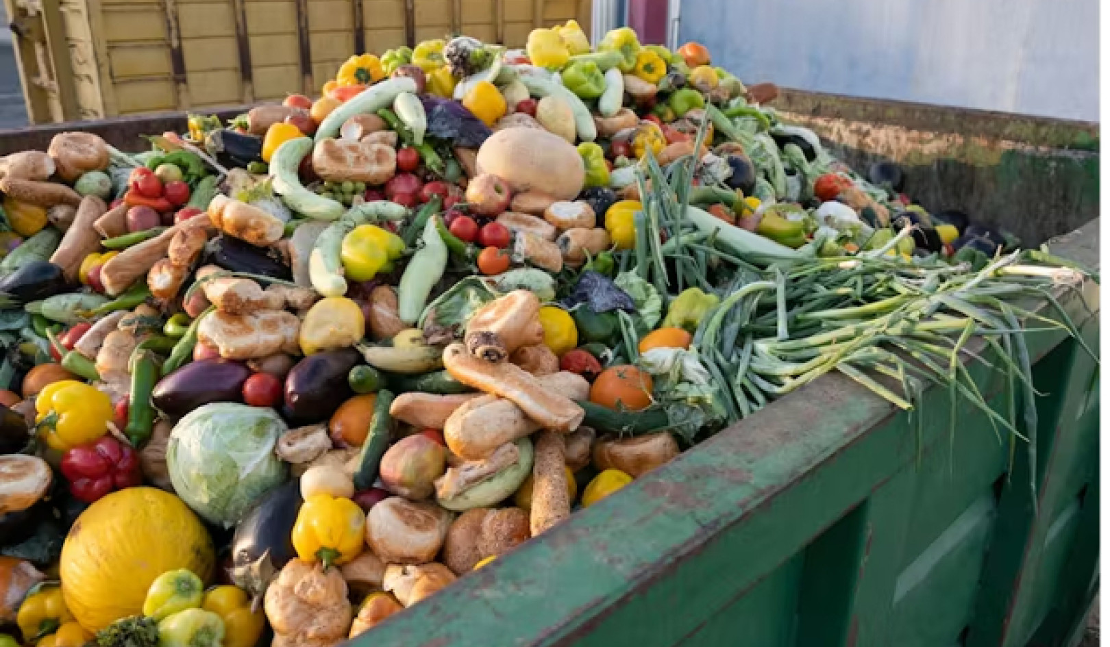 4 Effective Strategies To Reduce Food Waste
