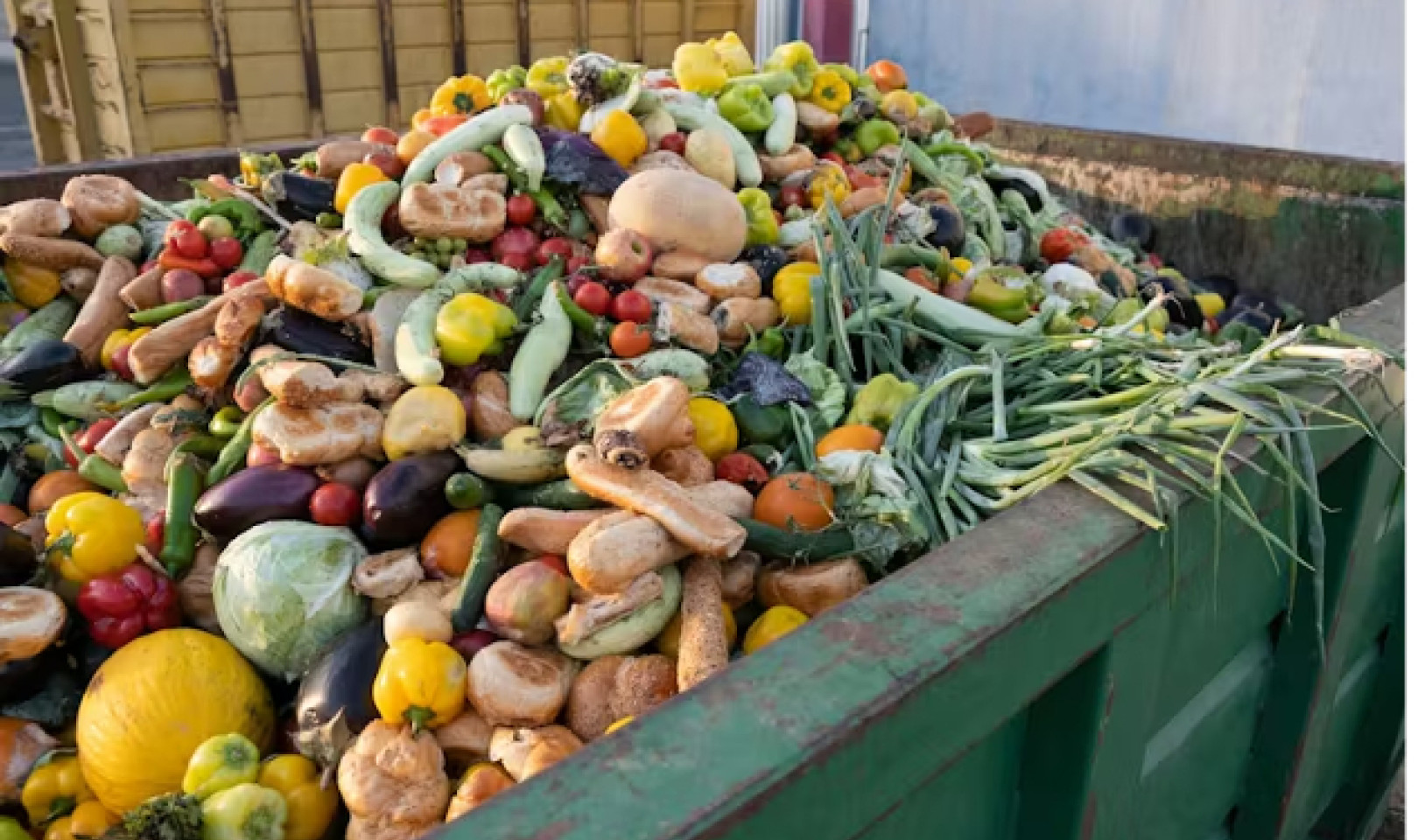 4 Effective Strategies To Reduce Food Waste