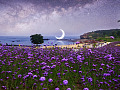 beautiful setting with wild flowers, and a moon hanging over the water