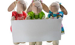 soft toys holding up a blank label