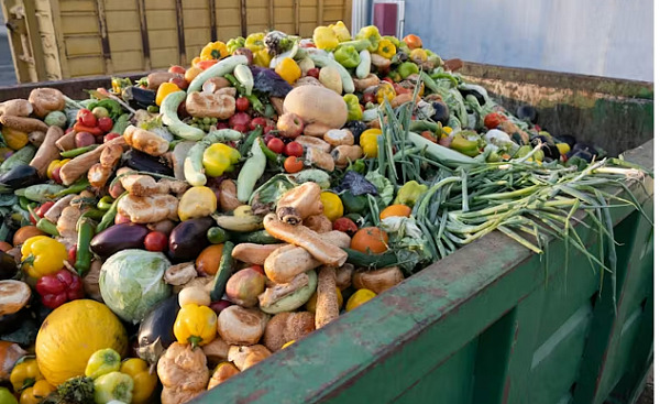 a commercial garbage bin filled to the brim with thrown out fruits and vegetables