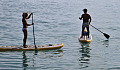 two people, a man and a woman, on paddle boards