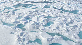 Plankton Blooms In The Arctic Meltwater Ponds Feed Climate Concerns