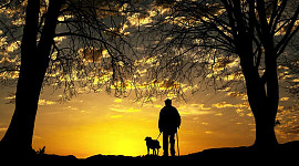 a ,man with a dog on a leash looking out at the sunset